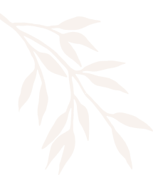 treebornhealthcare